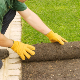 Sod Installation